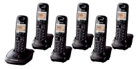 Panasonic KX-TG2516
