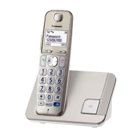 Panasonic KX-TGE210FXN