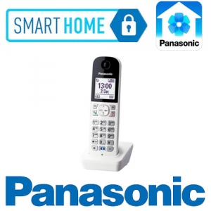 Panasonic_KX-HNH100FXW_sh_web.jpg