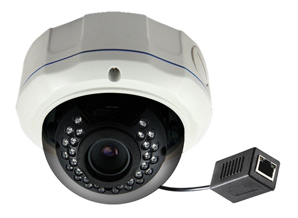 DM-650IR-F0312  UTP IR куполна IP видеокамера